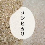 画像1: ☆令和7年産新米☆コシヒカリ20kg(送料別) (1)