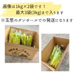 画像4: 【送料込】マコモダケ (4)